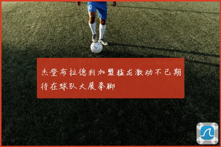杰登布拉德利加盟猛龙激动不已期待在球队大展拳脚
